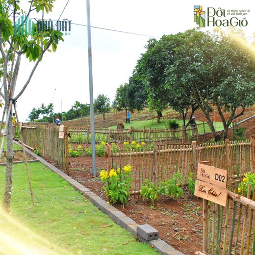 ĐỒI HOA GIÓ đất nền nghỉ dưỡng pháp lý hoàn chỉnh giá tốt