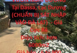 Gia Đình Cần Bán VƯỜN NGHỈ DƯỠNG Tại Dassa, Lạc Dương (CHUẨN BỊ SÁT NHẬP VÀO ĐÀ LẠT)  - Giá Cực Rẻ