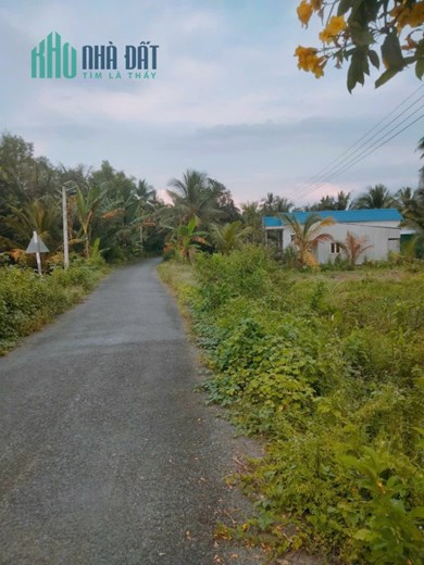Bán Đất Đẹp Tại Xã Thông Hòa, Huyện Cầu Kè, Trà Vinh