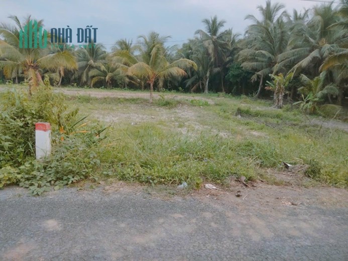 Bán Đất Đẹp Tại Xã Thông Hòa, Huyện Cầu Kè, Trà Vinh