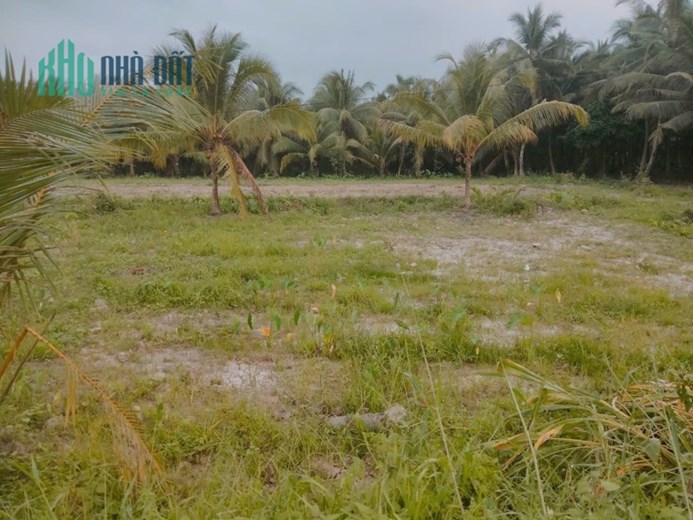 Bán Đất Đẹp Tại Xã Thông Hòa, Huyện Cầu Kè, Trà Vinh