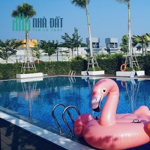 GIÁ SIÊU RẺ 300triệu .