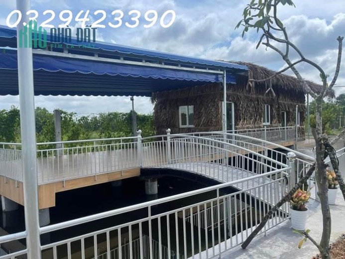 CẦN BÁN HOMESTAY NGHỈ DƯỠNG, ĐƯỜNG VƯỜN THƠM, BÌNH LỢI, BÌNH CHÁNH TPHCM, 1020 M2, GIÁ 5,35 TỶ