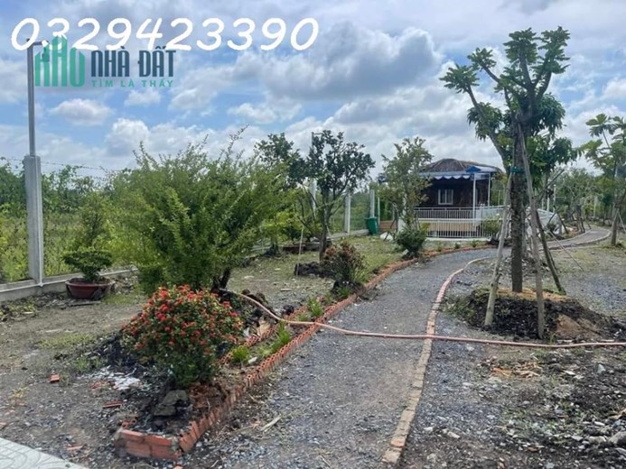 CẦN BÁN HOMESTAY NGHỈ DƯỠNG, ĐƯỜNG VƯỜN THƠM, BÌNH LỢI, BÌNH CHÁNH TPHCM, 1020 M2, GIÁ 5,35 TỶ