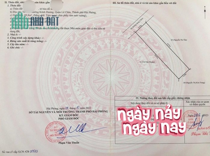 Siêu phâm tuyến 2 Quán Nam, 90m 4 tầng Thang Máy GIÁ 8.8 tỉ, vị trí Vip đẹp