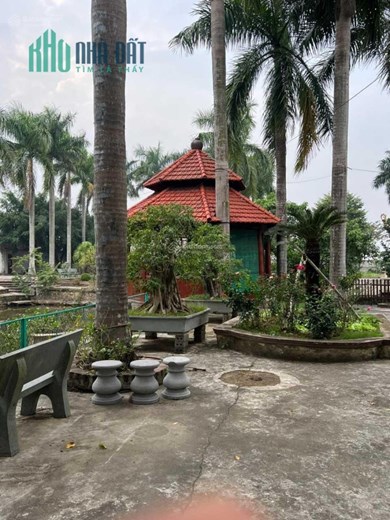 Bán nhà đất chính chủ 3,2 hecta Xã Khánh An, Yên Khánh, Ninh Bình