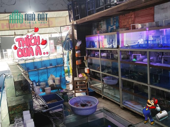 MẶT TIỀN ĐỈNH KINH DOANH NGUYỄN ẢNH THỦ QUẬN 12 - NGANG KHỦNG 7.5M, HƠN 205M2 - PHÙ HỢP MINH DOANH
