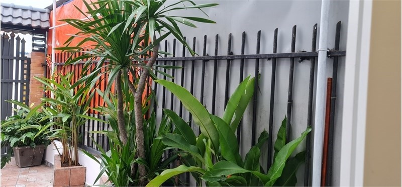 CHDV Nguyễn Ảnh Thủ, Quận 12, 13PN, thu nhập 300tr năm, giá chỉ 40tr/m2
