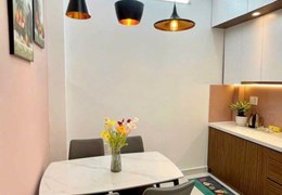 Xuất cảnh  cần bán Biệt thự 8x20 Hiền Vương , Tân Phú