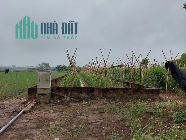 BÁN ĐẤT TẠI DỰ ÁN MÊ LINH, 100m2, mt5m, 3.2 tỷ, Ô TÔ, PHÂN LÔ.