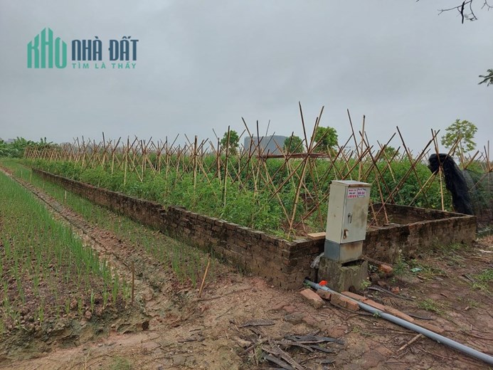 BÁN ĐẤT TẠI DỰ ÁN MÊ LINH, 100m2, mt5m, 3.2 tỷ, Ô TÔ, PHÂN LÔ.