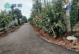 Đang kẹt 3 lô 1000m2 ngay Hồ Giao Thông, Lâm San, Cẩm Mỹ - Giá 1,050 khá rẻ