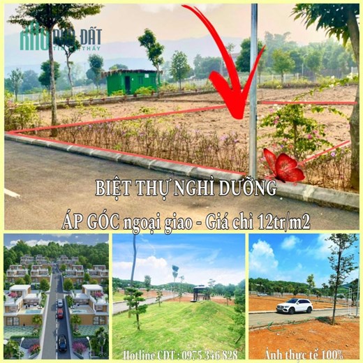 bán gấp  lô đất 160m² cạnh trường tiểu học Đông Xuân mặt tiền 10m cạnh 16m vuông vắn xây biệt thự
