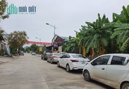 Cho thuê đất không tại Nguyễn Tri Phương, Liên Bảo. DT 250m2