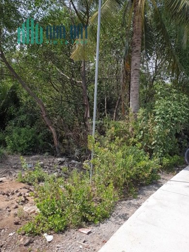 Đất thổ cư thị trấn Cần Đước 3,5 triệu/m2 đắt hay rẻ?