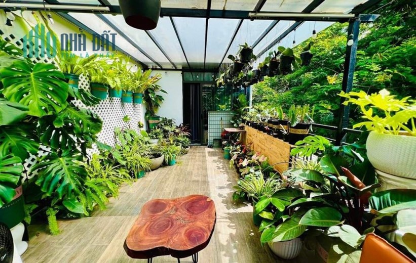 Nhà phố Lò đúc - nhỉnh 14 tỉ - gần 100m2x3 tầng- view đẹp- flex nhà siêu đẹp- nơi nghỉ dưỡng giữa