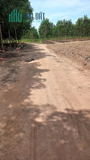 Bán tổng diện tích 18 mẫu đất vườn 
Tại xã đôn thuận - Trảng Bàng Tây Ninh