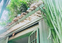 SÁT HẺM Ô TÔ - CAO LỖ, QUẬN 8 - 70m2 (Ngang 5m) - VUÔNG NỞ HẬU - 3 TỶ HƠN.