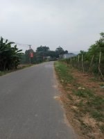 CHÍNH CHỦ BÁN GẤP ĐẤT THỔ CƯ SỔ HỒNG RIÊNG GIÁ RẺ MT TRUNG TÂM TAM NÔNG