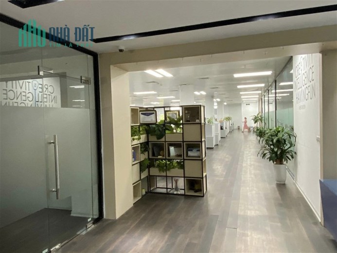 Bán Tòa Nhà Mặt Phố Thụy Khuê Quận Tây Hồ. Sổ 1200m Thực Tế 1400m Xây 6 Tầng Mặt Tiền 50m Nhỉnh 400