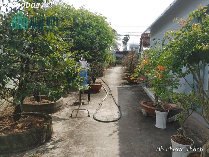 Bán nhà phố Xã Hòa Thành Lai Vung. MT đường nhựa 10m cách chợ Tân Thành 200m view sông