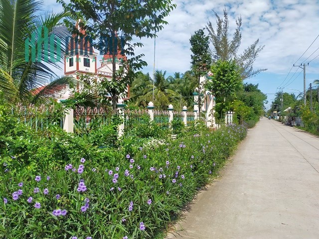 Cần bán đất 1300m2 xã Hưng Nhượng, Huyện Giồng Trôm, Bến Tre