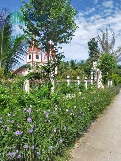 Cần bán đất 1300m2 xã Hưng Nhượng, Huyện Giồng Trôm, Bến Tre