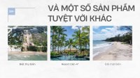 Đắc Địa: Đất Khách sạn View Biển - Mặt tiền đường 36M. Giá chỉ 1xtr/m2