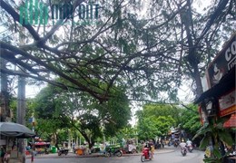 Siêu ngộp! Mặt Tiền Dương Quãng Hàm, P5, Gò Vấp, 5x20m, 2 tầng, chỉ 10.9 tỷ
