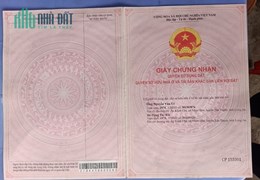 Cần tiền chữa bệnh cho gia đình bán gấp lô đất tâm huyết để xoay sở
