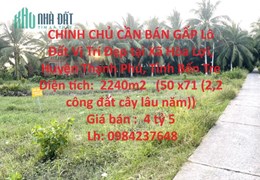 CHÍNH CHỦ CẦN BÁN GẤP Lô Đất Vị Trí Đẹp tại  Xã Hòa Lợi, Huyện Thạnh Phú, Tỉnh Bến Tre