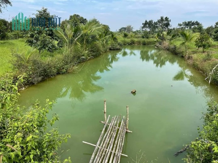 CHÍNH CHỦ Cần Bán Đất Trồng Sầu Riêng - Tại Thôn 11, Hòa Nam, Di Linh, Lâm Đồng