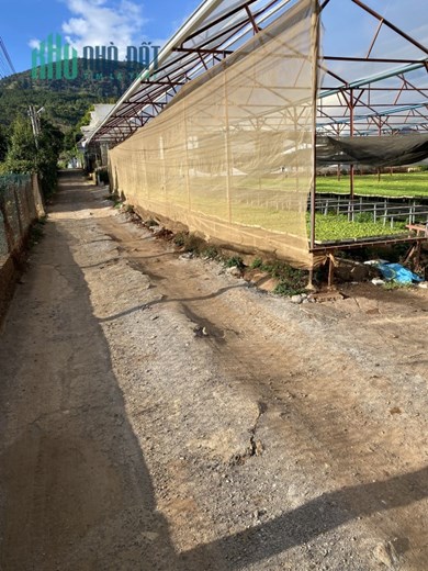 CHÍNH CHỦ CẦN BÁN GẤP LÔ ĐẤT Vị Trí Đẹp Tại Đức Trọng, Lâm Đồng