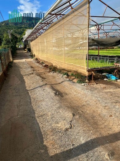 CHÍNH CHỦ CẦN BÁN GẤP LÔ ĐẤT Đẹp Tại Đức Trọng, Lâm Đồng