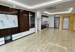 Cần bán gấp nhà Mặt ngõ Cát Linh giá 19.5 tỷ, 120m x 3T , Ngõ gần ,