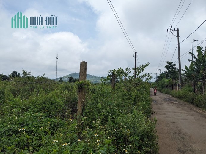 CHÍNH CHỦ BÁN GẤP 4706M2 ĐẤT GIÁ RẺ TRUNG TÂM CHI LĂNG- PLEI KU