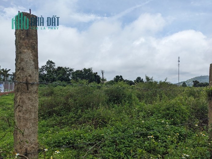 CHÍNH CHỦ BÁN GẤP 4706M2 ĐẤT GIÁ RẺ TRUNG TÂM CHI LĂNG- PLEI KU