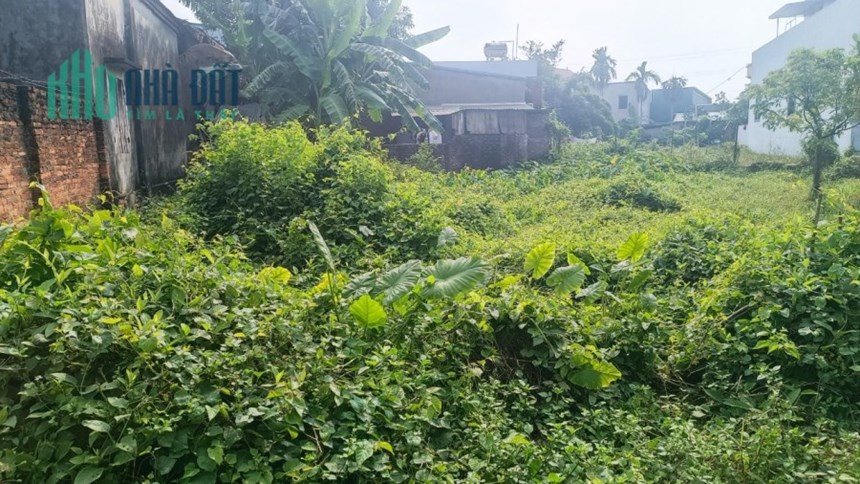 Bán 120m Xã Phú Nghĩa Full Thổ Cư Ô Tô Vào Đất Giá 12tr/M