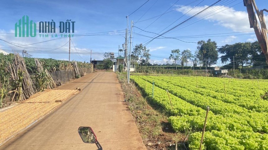 Bán lô đất hẻm pê tông rộng 5m, thuộc gần cos pha, liên hiệp đức trọng 2,5 tỷ