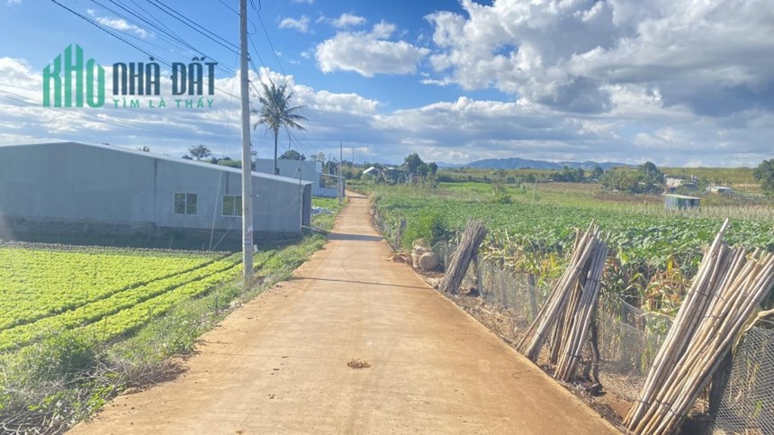 Bán lô đất hẻm pê tông rộng 5m, thuộc gần cos pha, liên hiệp đức trọng 2,5 tỷ