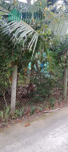 CHÍNH CHỦ CẦN BÁN ĐẤT VỊ TRÍ ĐẸP GIÁ SIÊU ĐẦU TƯ. Xã Phú Túc, Huyện Châu Thành