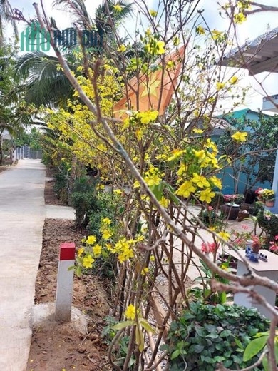 CHÍNH CHỦ CẦN BÁN ĐẤT VỊ TRÍ ĐẸP GIÁ SIÊU ĐẦU TƯ. Xã Phú Túc, Huyện Châu Thành