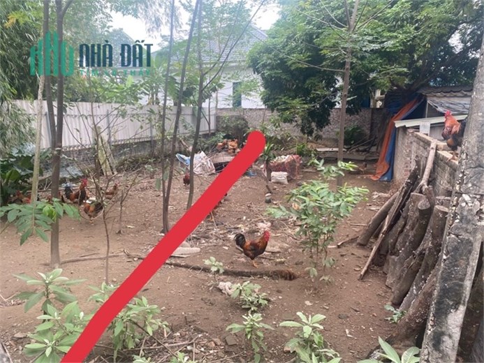 Cần bán 86m² tại Chùa Nấu- Yên Ninh- Sóc Sơn- Hn. Đường 4.5m thông. Full thổ
