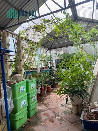 Bán Nhà Hoàng Hoa Thám 53m2 x 4 tầng, sát Phố ngõ nông rộng 3 ô tô tránh, khách mua về sẵn ở, ô tô