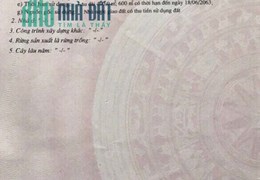 THỊ TRƯỜNG TIỀM NĂNG CỦA TƯƠNG LAI - BDS Tây Nguyên