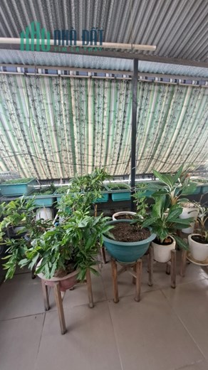 Bán nhà Hoàng Quốc Việt ( KDC Tạ Thị Ngọc Thảo) 80m2 - 5 Tầng, ST.