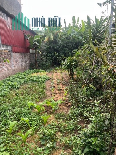 CHÍNH CHỦ - BÁN NHANH LÔ ĐẤT Tại thôn Kìm, xã Vũ Lạc, TP Thái Bình, Thái Bình