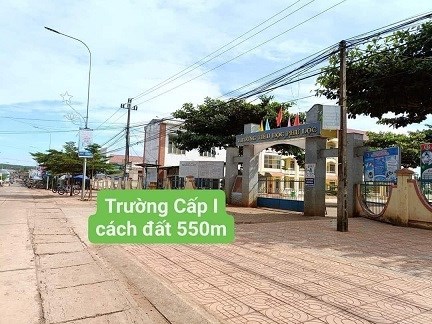 QUA BAO NĂM NGƯỜI DÂN TA MUA ĐI BÁN LẠI RẤT NHIỀU
VẬY NÊN BÂY GIỜ EM CŨNG NOI THEO NGƯỜI ĐI TRƯỚC