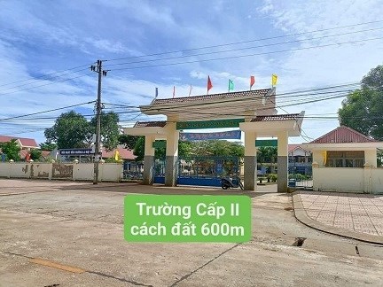 QUA BAO NĂM NGƯỜI DÂN TA MUA ĐI BÁN LẠI RẤT NHIỀU
VẬY NÊN BÂY GIỜ EM CŨNG NOI THEO NGƯỜI ĐI TRƯỚC