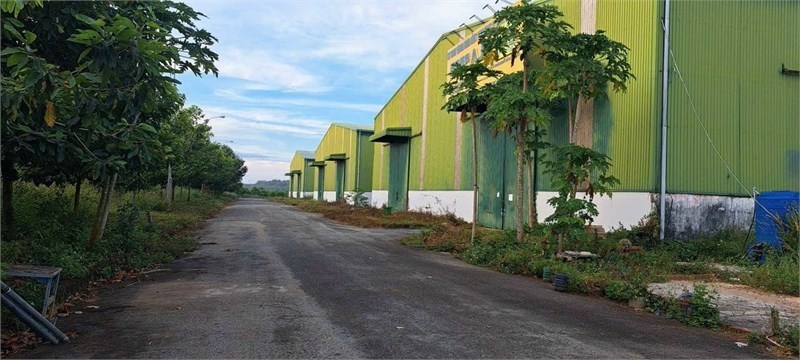 sẵn xưởng sản xuất thu hút nhiều ngành nghề, DT xưởng đa dạng, cho thuê giá siêu tốt
